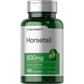 Horbäach Horsetail Herb Capsules 800mg | 180 Count | Non-GMO Gluten Free Herb Extract Supplement