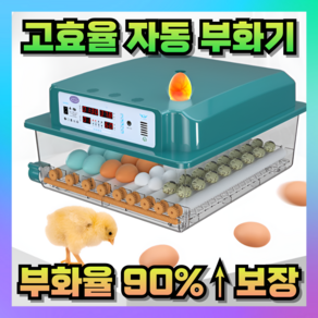 에그본 고효율 부화기 병아리 자동 급수 온도제어 가정용 계란 병아리키우기 육추기 인큐베이터, 12개