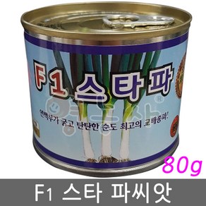 F1 스타 대파씨앗 80g 캔, 1개