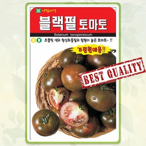 대추 방울 토마토 씨앗 10립 블랙펄 흑방울 흑토마토 종자 씨 봄 여름 가을 AR, 1개