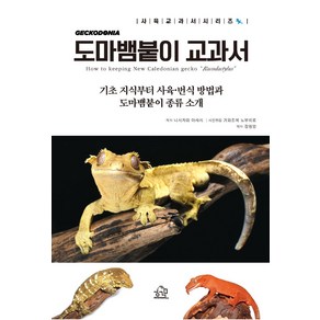 도마뱀붙이 교과서:기초 지식부터 사육·번식 방법과 도마뱀붙이 종류 소개