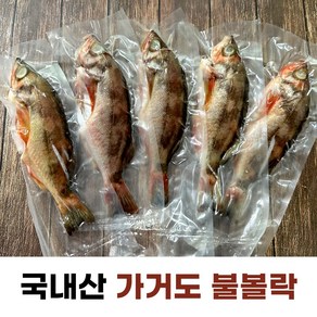 신안 가거도 국내산 손질 불 볼락 열기(특대 1미 250g)개별포장