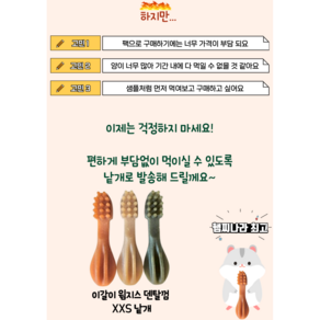 햄스터 이갈이 간식 윔지스 칫솔 모양 햄스터가 좋아하는 덴탈껌