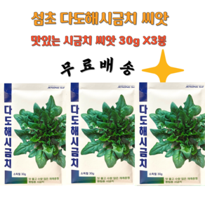 시금치씨앗 섬초시금치종자 다도해시금치씨 30g 3봉 1세트 무배