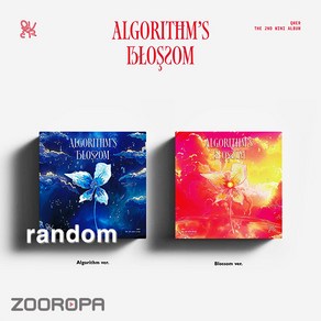 [주로파] QWER 큐더블유이알 Algoithms Blossom 2집 미니앨범