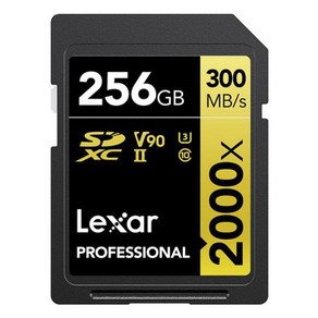 렉사 프로페셔널 SD 메모리 카드 2000x, 256GB, 1개