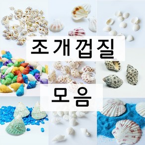 조개껍질 소라껍질 모음 젤캔들 만들기 재료, A-가리비, 1개