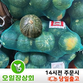 국내산 단호박 크기랜덤7~10 5kg내외