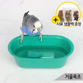 거울욕조 앵무새 장난감 소형새 목욕통 모이통 물놀이, 상세 설명 참조, 1개