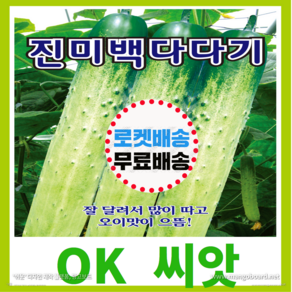 [OK씨앗] [진미백다다기오이] 오이씨앗 종자(오케이씨앗), 1개