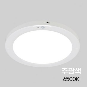 비츠온 원형 LED 센서등 엣지 10인치 20W, 1개, 주광색