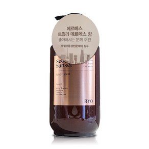 려 자양윤모 샴푸 서울석양, 585ml, 4개