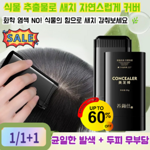 1/1+1 방수 땀방지 흰머리 커버 염색 헤어스틱 원터치 헤어 커버스틱 새치커버 스틱 20g/두피자극 Zeo, [2개] [B-다크브라운], 2개, [2개] [B-다크브라운] * 2개