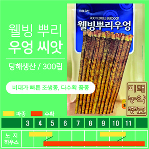 웰빙 뿌리우엉 씨앗 300립, 1개