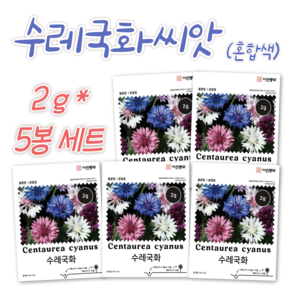 혼합 수레국화 씨앗 2g x 5봉 세트 꽃씨 봄 여름 가을 파종