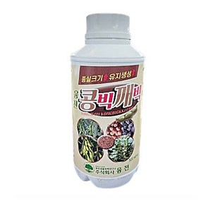 콩비료 콩 참깨 들깨 영양제 비대 융전 콩빅깨빅 500ml 종실크기 유지생성 텃밭 모종 씨앗 종자, 1개