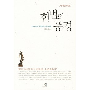 헌법의 풍경:잃어버린 헌법을 위한 변론