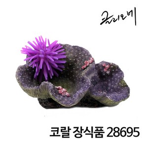 샘아쿠아 클리오네 코랄 산호 장식품 28695