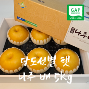 과즙팡팡 당도선별 24년 햇 나주 배, 1박스, 5kg(가정용 8-9과)