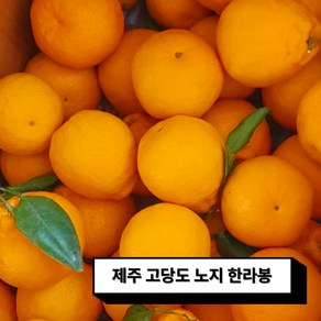 [마트납품용] 못난이 가정용 고당도 노지 한라봉 혼합 2KG 3KG 5KG 10KG, 1박스, 2KG 크기혼합