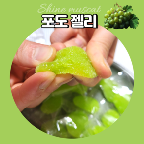 안주인몰 포도젤리 퓌레75% 500g 선물 회사 부모님 학교 간식 디저트, 1개