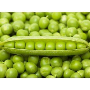 [싱싱농산] 25년 국산 껍질 완두콩, 2kg, 1개