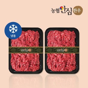 [농협안심한우] 1+등급 한우 다짐육 600g(300gX2팩), 1세트