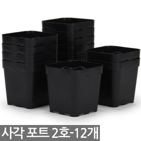 사각 포트 2호 12개 - 모종판 연결포트 모종 다육포트 트레이 재배 씨앗 연결포트 묘목 모판 화분 다육이