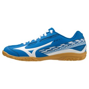 미즈노 MIZUNO 81GA2130 트레이닝 탁구화 신발 운동화 크로스 매치 소드 탁구 남여 236924