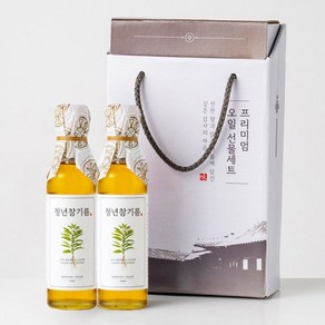 [전라도 청년] 특등급 통참깨 저온압착 청년 참기름180mlx2 선물세트, 180ml, 2개