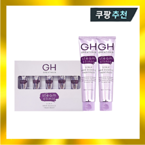 GH 그레이트헤어 스팀 스칼프 헤어에센스 트리트먼트 이찬석 110ml 2개+15ml 5개