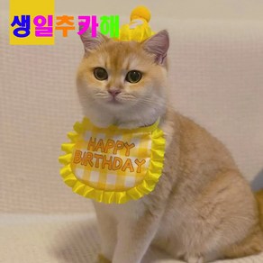 알파벳샵 강아지 고양이 생일 파티 고깔 숫자 세트 * 2개