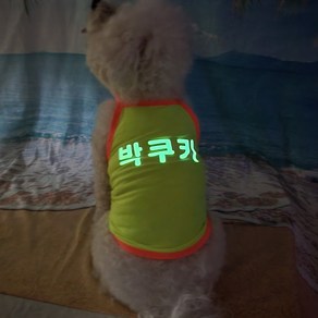 볼독 [이름각인가능]강아지 고양이 나시 티셔츠 비치웨어 야광 민소매