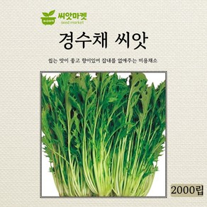 아람종묘 경수채 씨앗 2000, 1개