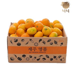 제주 귤 감귤 조생귤 2kg/3kg/4.5kg/9kg, 1박스, 중대과(L-2L) 2kg