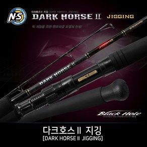 [NS] 다크호스2 지깅 [DARK HORSE2 JIGGING] 바다루어낚시대