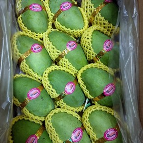 미스터과일왕 베트남 KEO 께오 그린 망고 (Vietnam Keo Geen Mango), 1박스, 그린망고 2.5kg (7과 내외)