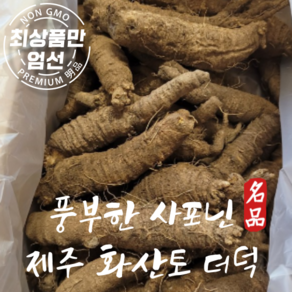 제주 친환경 더덕 화산토에서 키운 햇 더덕, 구이용 더덕 특1kg, 1개