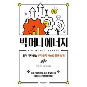 위즈덤-빅 머니 에너지 (돈이 따라붙는 부자들의 사소한 행동 설계)