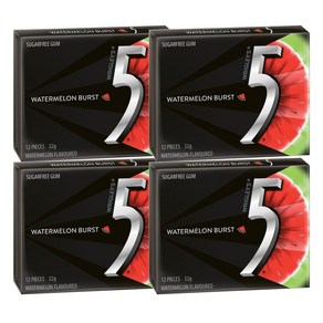 파이브껌 수박 버스트 껌 5gum Watemelon Bust Gum, 4개, 1g