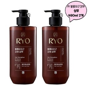 려 NEW 흑운 모근강화&볼륨케어 샴푸 480ml + 컨디셔너 480ml 발효검은콩함유, 1세트