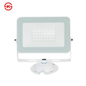 LED 투광기 DC 12V 24V겸용 30W IP65, 1개, 주광색