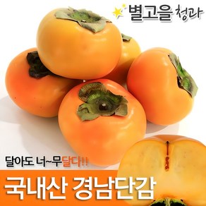 경남단감 흠과 랜덤과 포장재무게포함 10kg, 1개