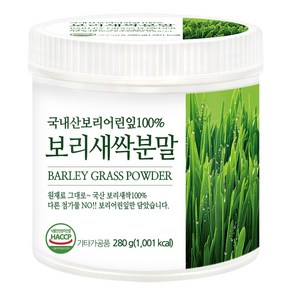 푸른들판 국내산 보리새싹 분말 가루 100% HACCP 인증 새싹보리 차 보리어린잎 새싹보리순, 280g, 1개