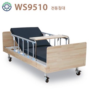 의료용 환자용 가정용 병원침대 편백나무 1모터 전동침대(WS9510) 매트포함 공장직영전국무료배송설치 서울경기 3~5일 내 배송 가능, 1개