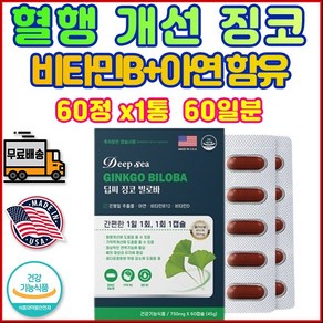 남자여자 징코 GINKGO 비타민B 아연 갱년기 혈행 개선 혈액 순환 40대 50대 기억력 인지력 인지질 EPA DHA 대두 브레인 피에스 콩 가루 수 액티브 펩타이드 파우더, 1개, 60정