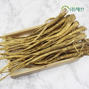 감기에좋은 보약같은 흙도라지 통도라지 500g, 1개