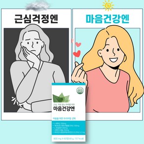 약사 연구진이 개발한 마음건강엔 5가지 핵심성분을 한번에 채운 올인원 제품 800mg x 60정, 1개