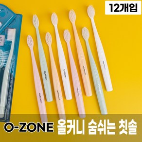 [오죤] 올커니 숨쉬는 칫솔 12개입 1Box 로얄 이중 미세모 빠른 통풍건조, 1개