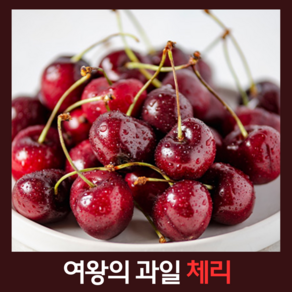 [힘찬열매] 고당도 한입 체리 항공직송 생체리, 1개, 500g